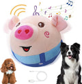 YOBENSUN™ – Smart Interactive Plush Pig Toy 🐱&🐶