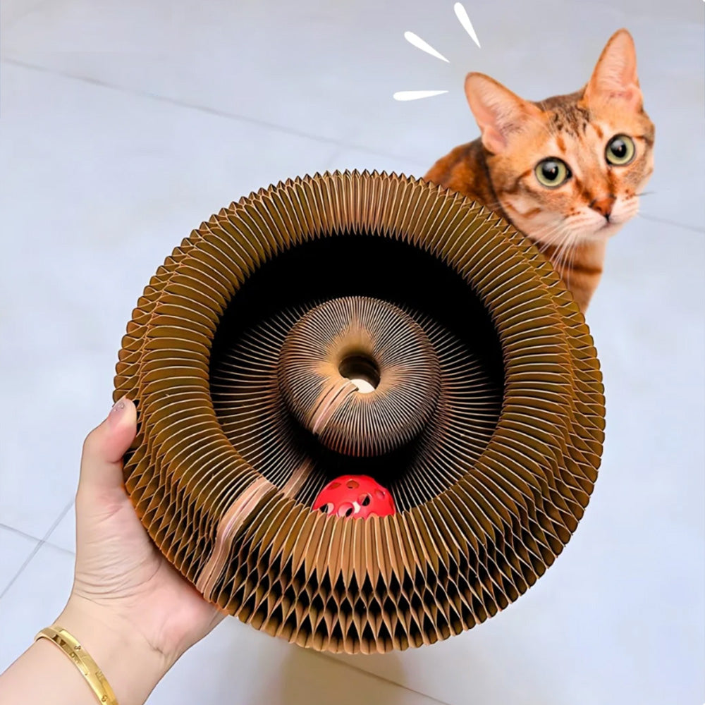 Cat Toy
