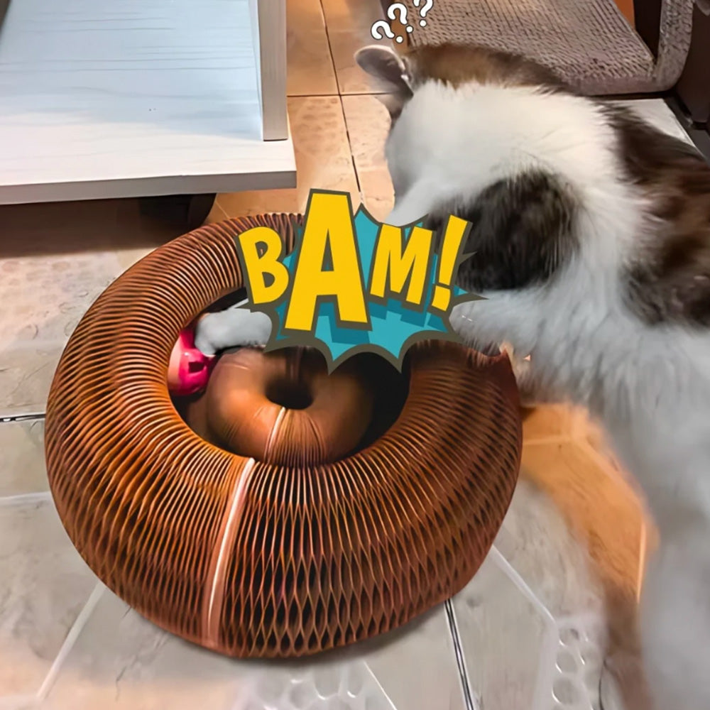 Cat Toy