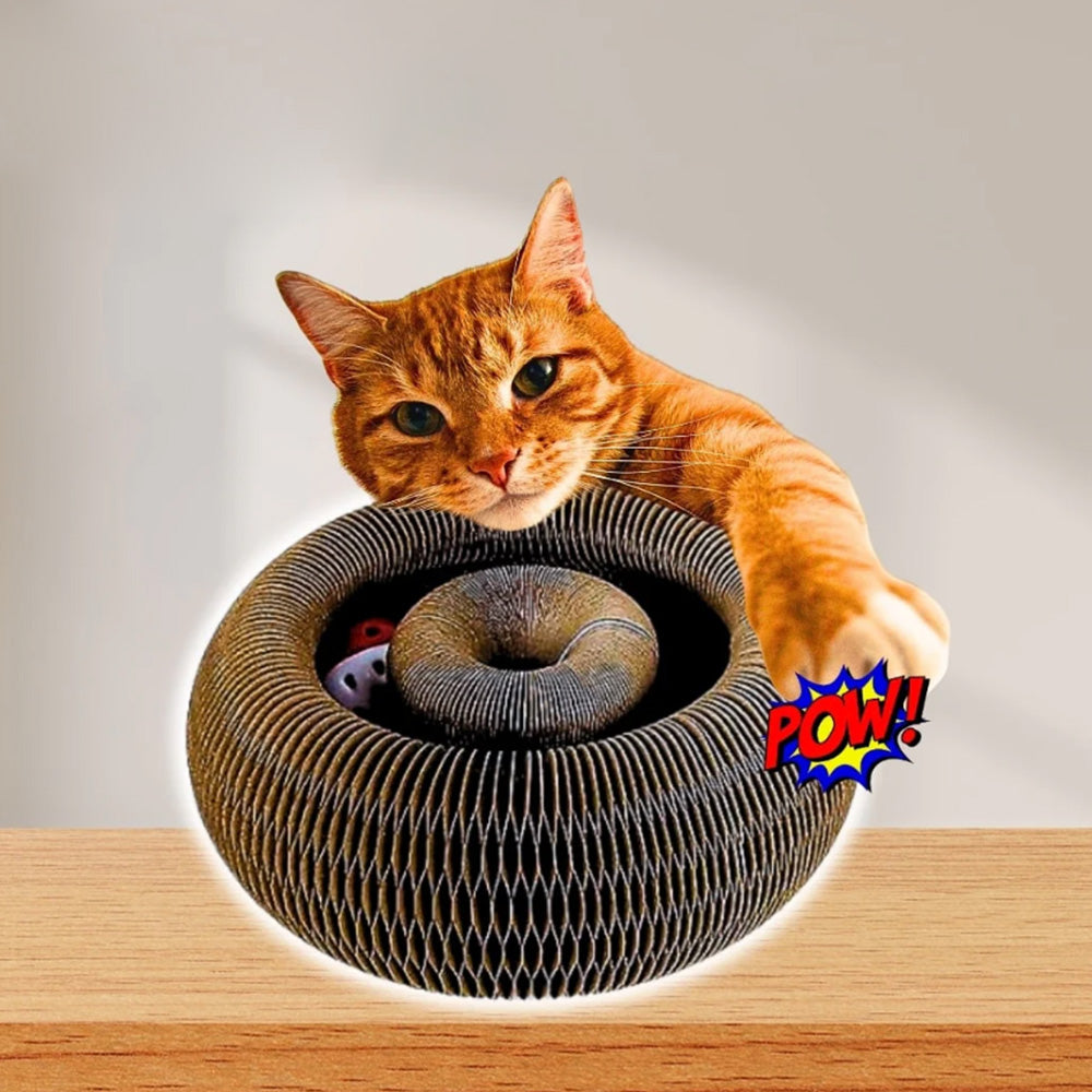 Cat Toy