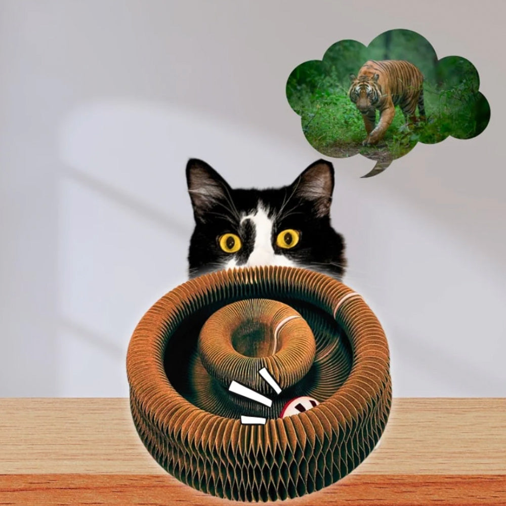 Cat Toy