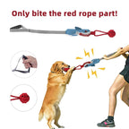 Interactive Dog Tug Toy, Pulling Toy with a Sound Squeaky, Tug of War Toys for Puppies