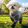 🐾 All-In-One Winter Adventure Dog Suit: Waterproof Coat + Cozy Flannel + Built-In Snow Boots