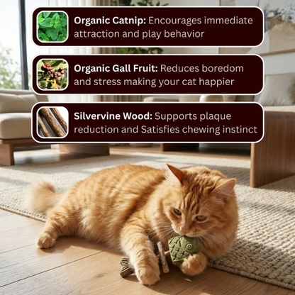 Catnip & Silvervine Chew