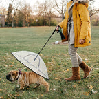 Transparent pet umbrella leash: Keep pets dry during walks.