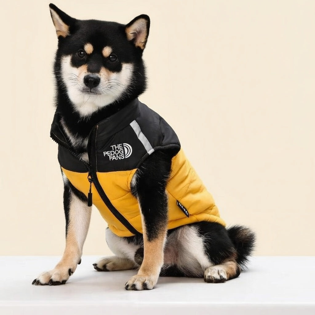 🐾 Premium Winter Dog Jacket | Water-Resistant & Adjustable Cold Weather Parka