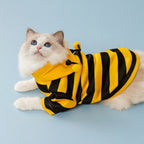 🐝🐾Little Bee Cat Traction Sweater - 2.0 Upgraded Version