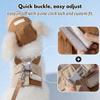🐶 No Pull Dog Harness Leash Set with Matching Hat – Breathable Mesh Vest, Adjustable, Reflective, Brown