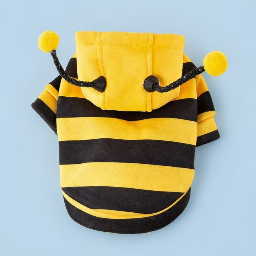 🐝🐾Little Bee Cat Traction Sweater - 2.0 Upgraded Version