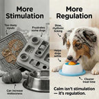Calming Lick Bowl for Dogs – Anxiety Relief Slow Feeder with Non-Slip Base & Freezable Treat Reservoir