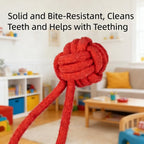 Interactive Dog Tug Toy, Pulling Toy with a Sound Squeaky, Tug of War Toys for Puppies
