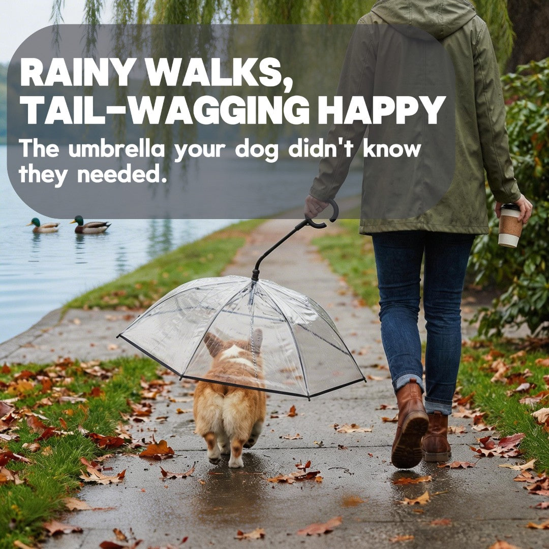 Adjustable Dog Umbrella Leash – Keep Your Pup Dry in Rain & Snow ☔🐶
