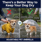 Adjustable Dog Umbrella Leash – Keep Your Pup Dry in Rain & Snow ☔🐶