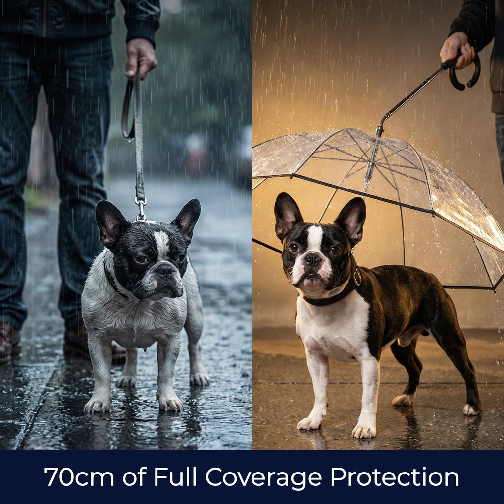 Adjustable Dog Umbrella Leash – Keep Your Pup Dry in Rain & Snow ☔🐶
