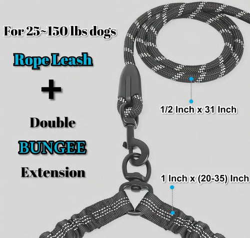 Dual Dog Leash, Double Dog Leash, 360 Swivel No Tangle Walking Leash, Shock Absorbing Bungee for Two Dogs